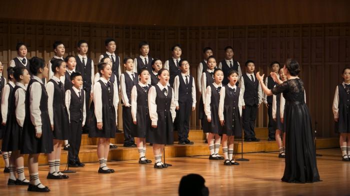 青少年歌唱大賽,激情與才華的較量,青春旋律的碰撞