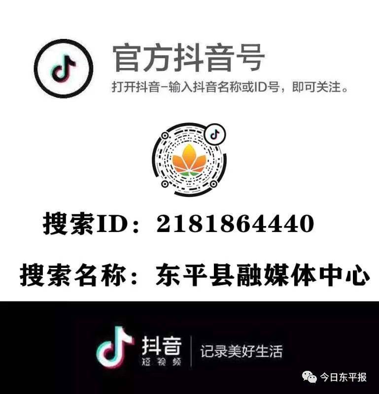 東平最新招聘,觀點闡述與立場分析指南