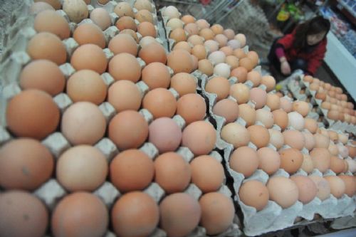 最新雞蛋價格探索,一場尋找內(nèi)心平靜的雞蛋之旅