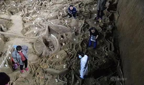 最新鄭州資訊,最新鄭州資訊