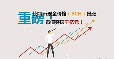 bch幣價格,BCH幣價格,探索數字貨幣的未來價值