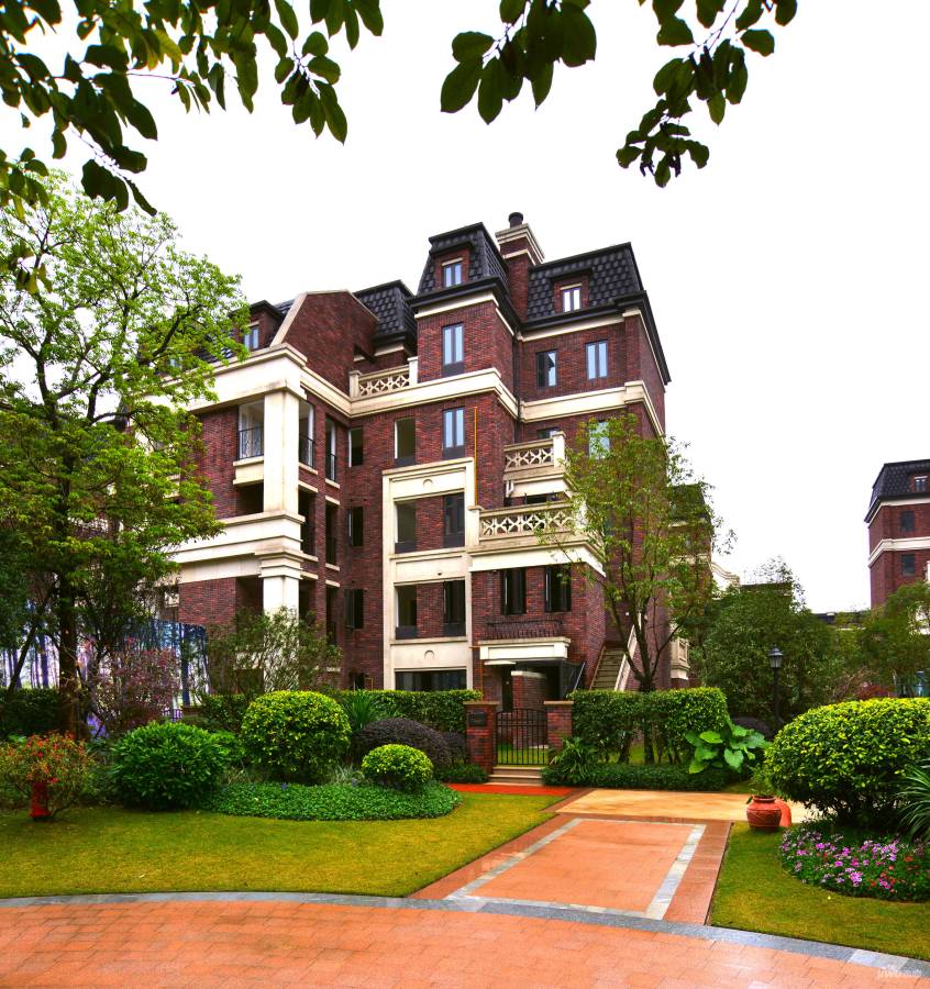 泰禾紅悅最新資訊，自然美景的探索之旅，內(nèi)心平和寧靜的尋覓