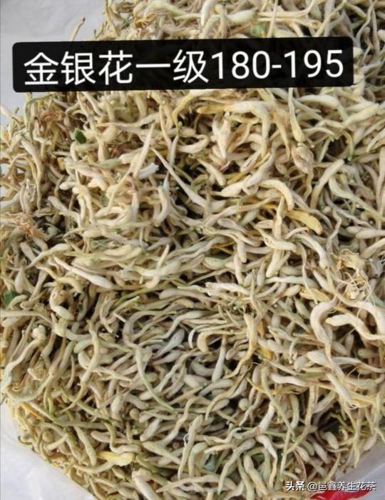 最新金銀花動態(tài)與信息速遞