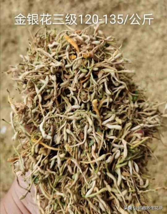 最新金銀花動態(tài)與信息速遞