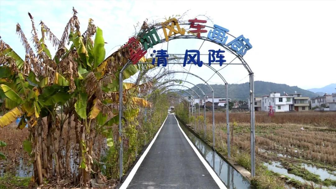 連城路最新動態,變化中的力量,自信與成就感的源泉