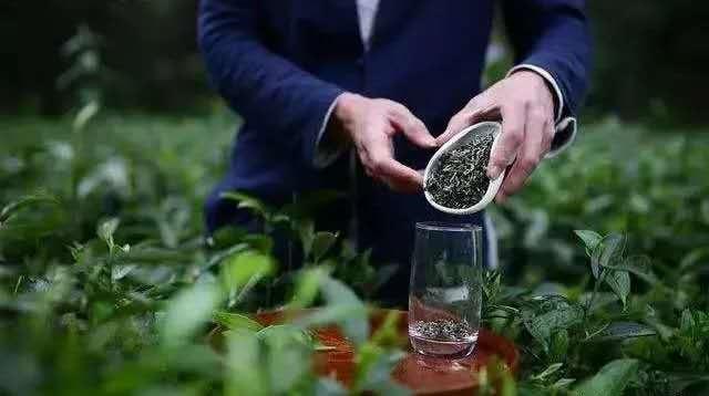 上海今日鋅價格行情,科技與生活的無縫對接