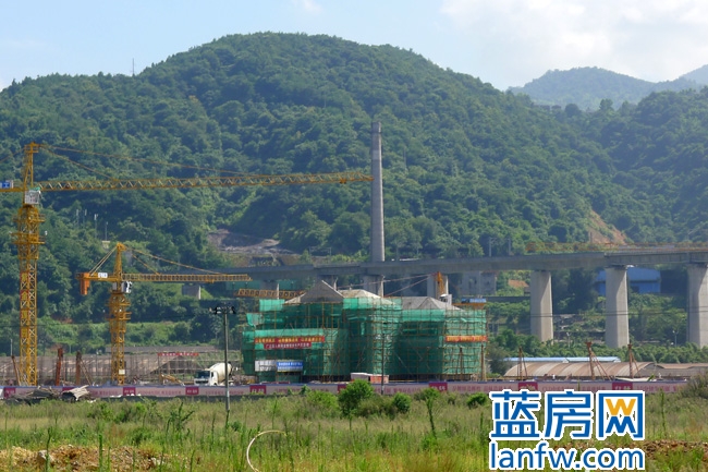 龍巖紫金蓮園最新資訊,龍巖紫金蓮園的溫馨日常