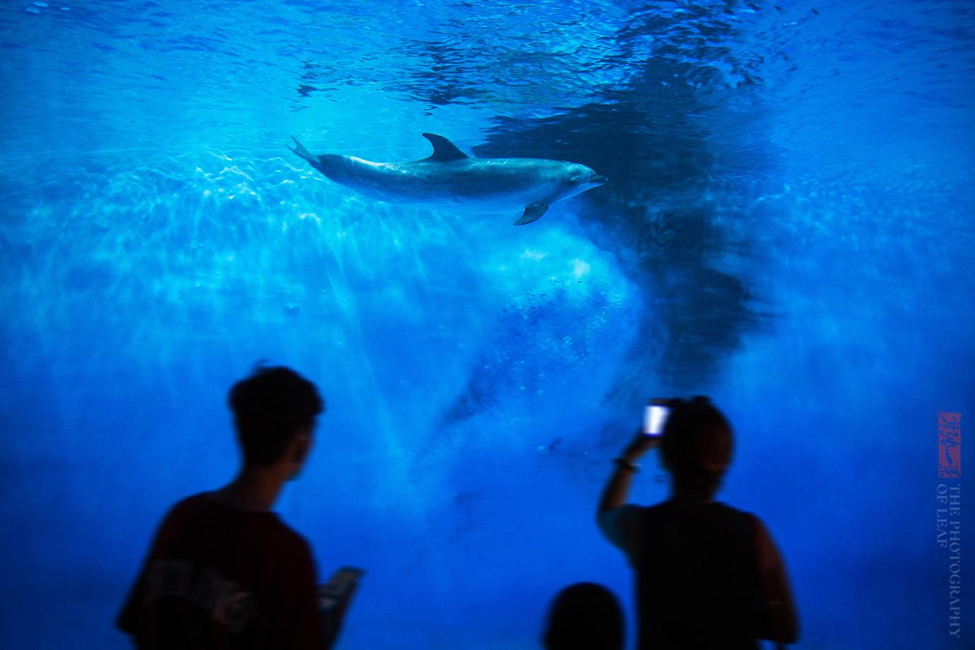 橫店兒童演員現象,多維視角探究