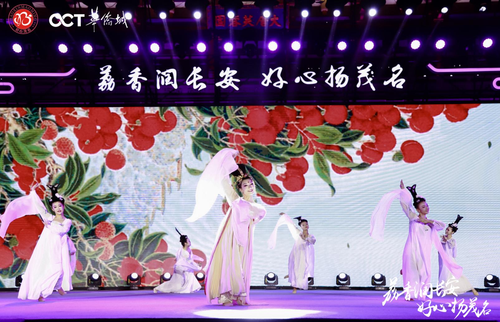 最新馬匹資訊揭秘,探尋領(lǐng)域嶄新篇章