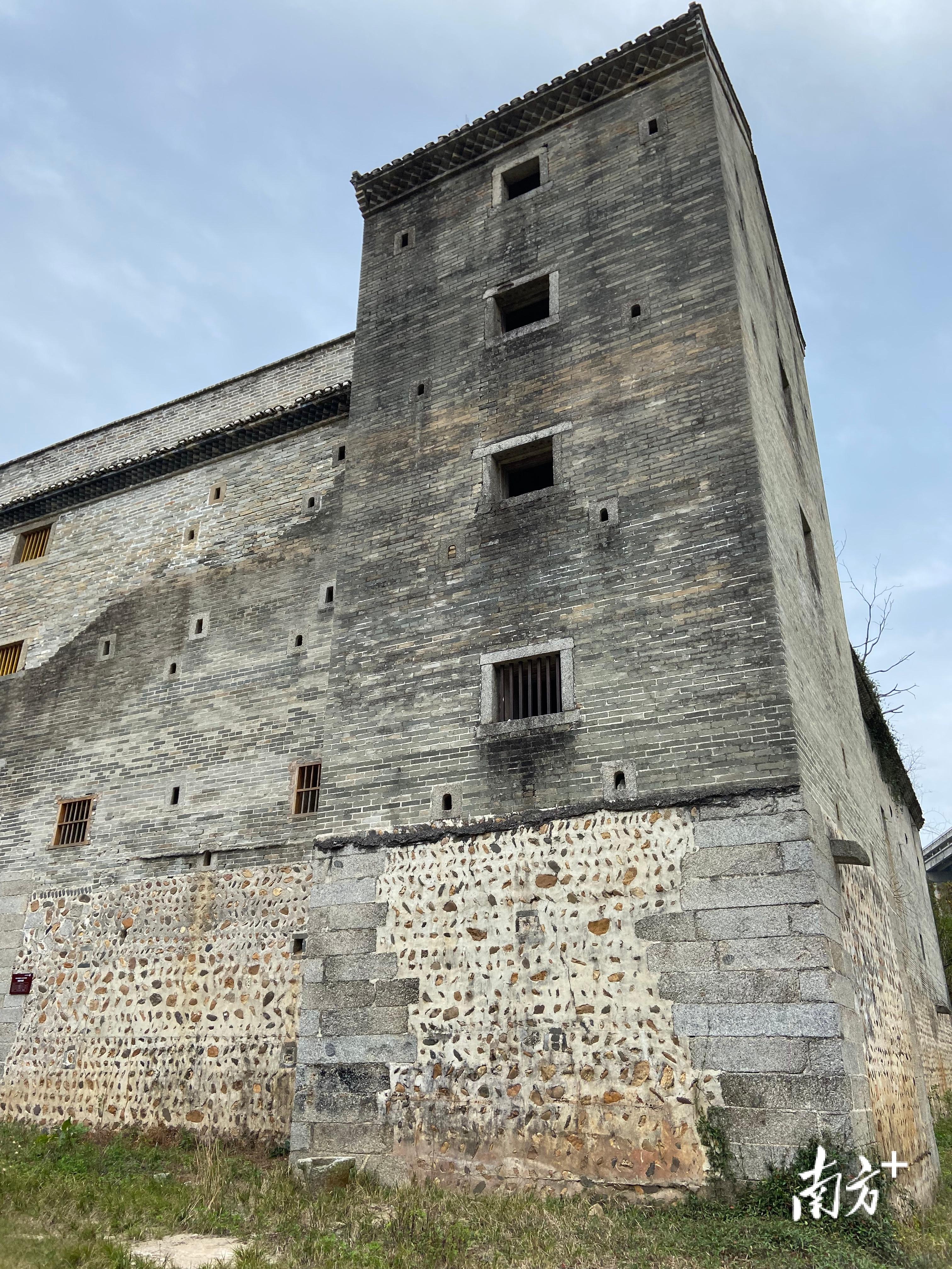 石斛最新價(jià)格行情及市場走勢分析(附選購指南)