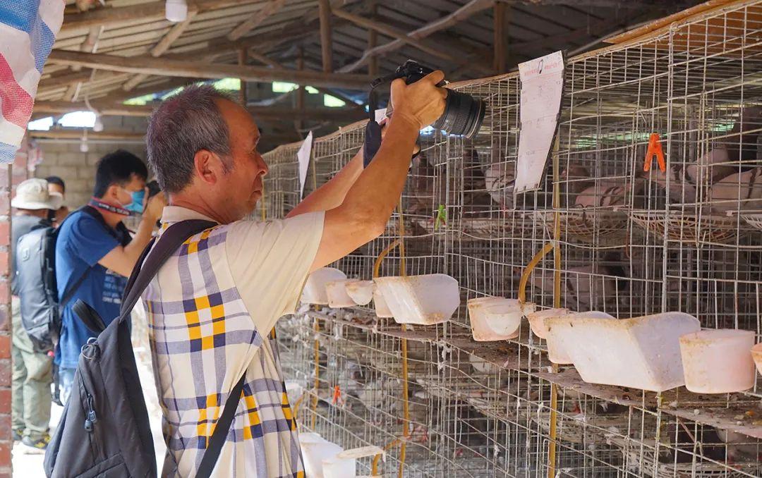 決戰江南電視劇演員表——自然美景中的探索之旅與演員群像展示