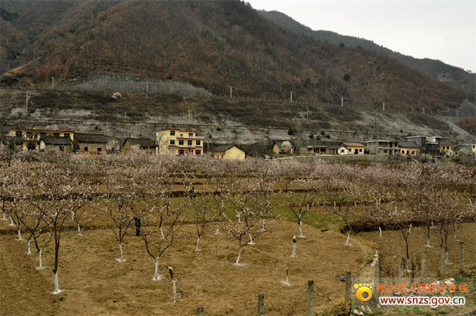 探尋生態(tài)與文化的融合之美,春暖花開杏花村新址之旅