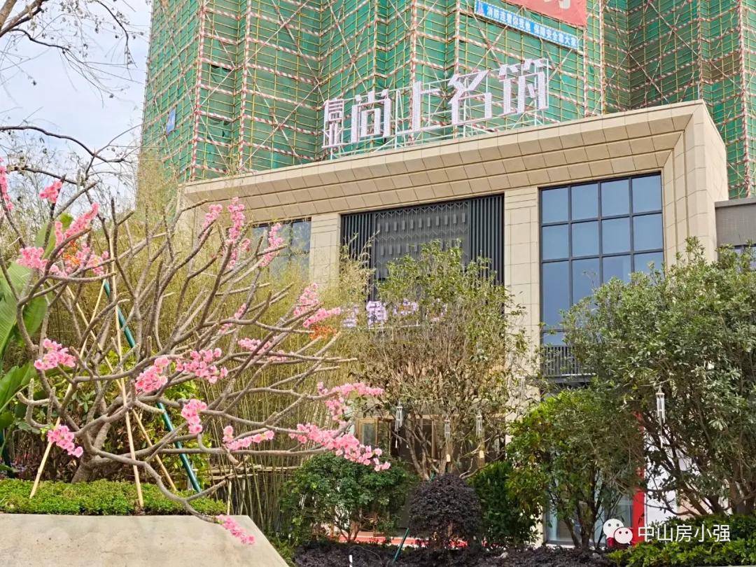 怡紅院最新主頁(yè),古典與現(xiàn)代交融之美的探索