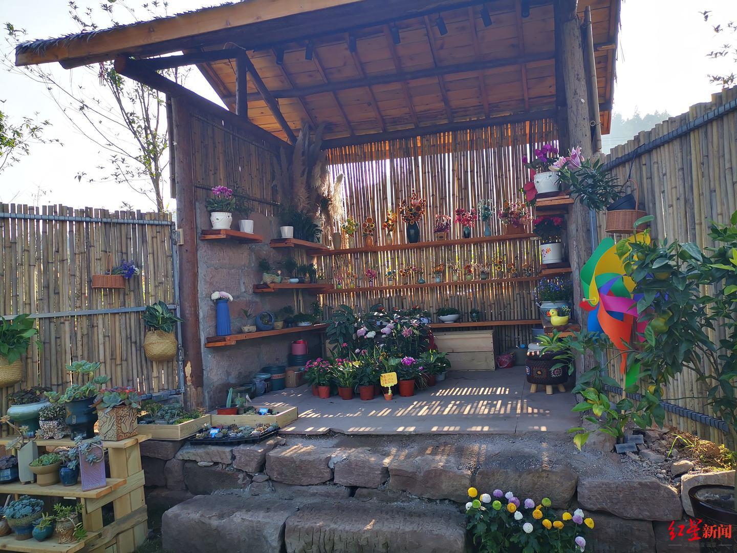 小巷中的教育新星,簡陽幼兒教師最新招聘資訊,尋找未來的幼教之光