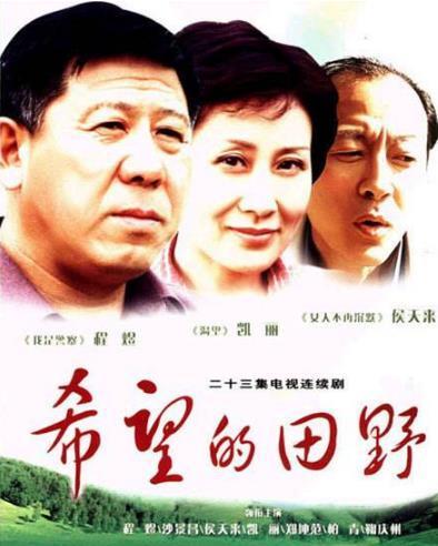 電視劇希望的田野,電視劇希望的田野,時代的印記與鄉村的變遷