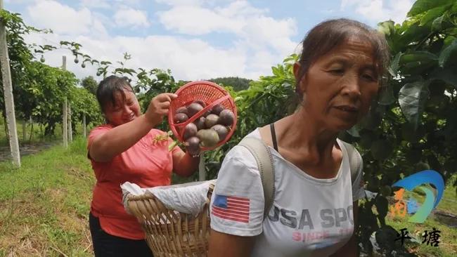 加工廠上市之路,變遷與夢(mèng)想之光的實(shí)現(xiàn)