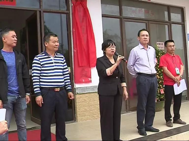 加工廠上市之路,變遷與夢想之光的實現