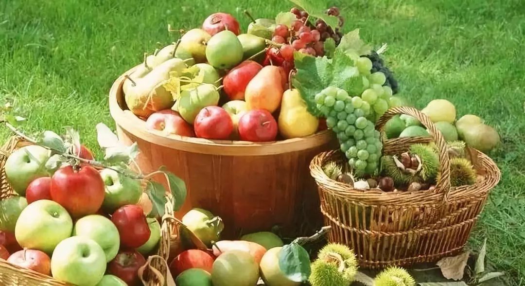 新鮮水果種類盤點,科技與生活交融的果實盛宴