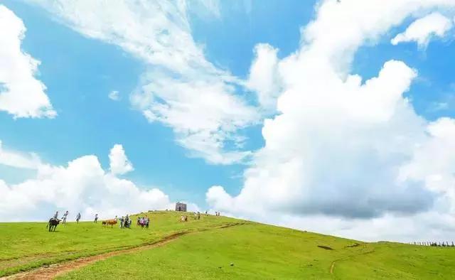 紅楓資訊快報(bào)