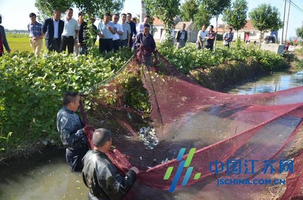 射陽最新招標信息全面概覽