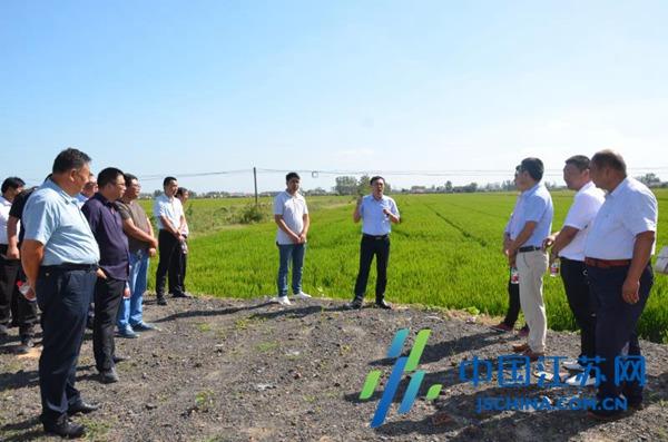 射陽最新招標信息全面概覽