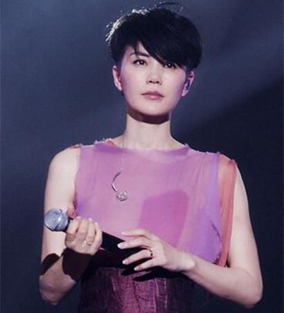 王菲最新照片獲取指南,從初學(xué)者到進(jìn)階用戶(hù)皆適用的指南