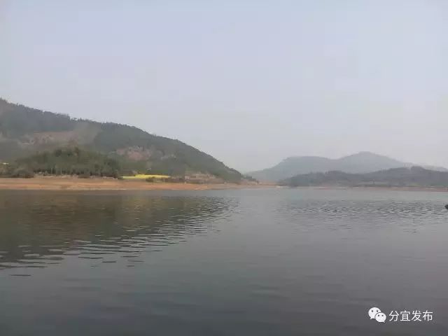 萬家水庫最新動態與巷弄深處的獨特風情小店揭秘