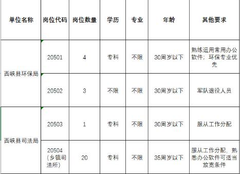 西峽吧最新職位招聘全面解析與觀點論述