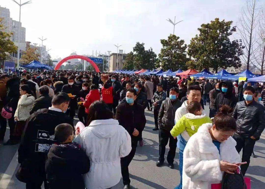 泗洪開發區招聘信息背后的故事與求職指南