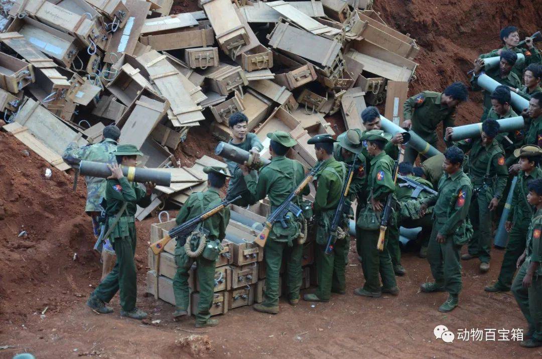 果敢資訊速遞,啟程探索自然美景的治愈之旅