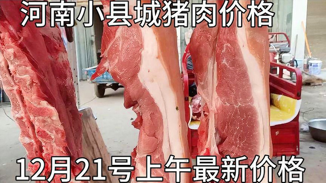 河南最新豬肉價格動態,力量與自信成就感的背后變化