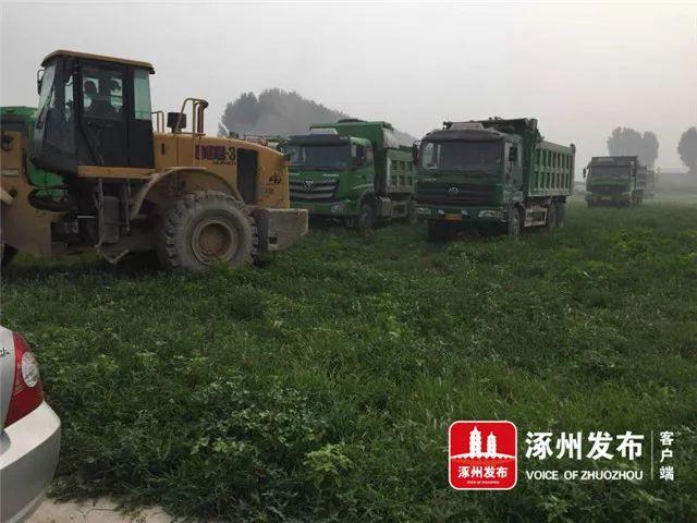 涿州義和莊最新動態,涿州義和莊最新動態,觀點闡述與分析