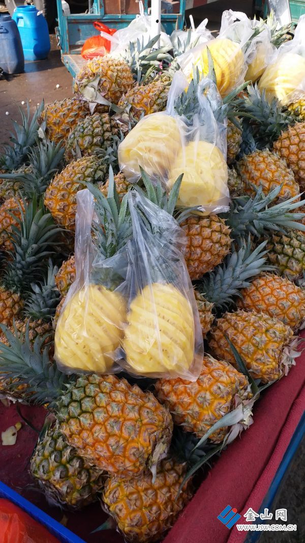 最新菠蘿售價背后的溫馨家居故事