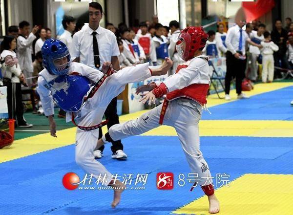 跆拳道比賽服選購攻略,挑選指南與技巧分享