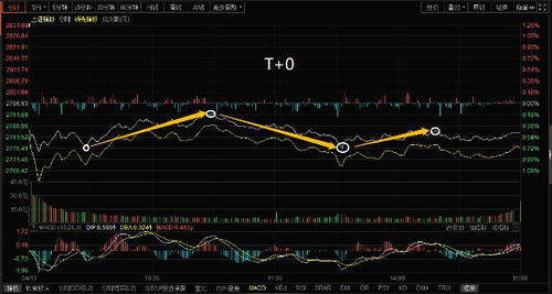 股票t十0,股票T+0,科技革新引領投資新時代