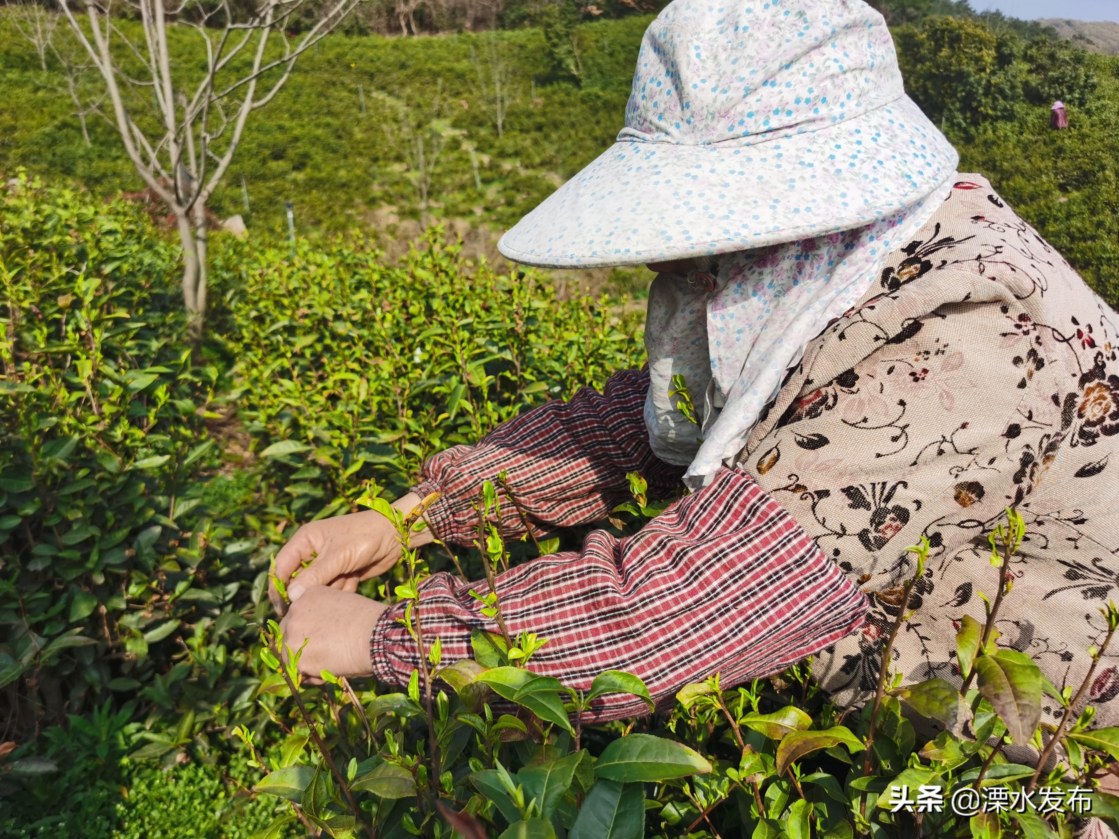溧水上市企業,咖啡時光里的友情邂逅與日常溫暖