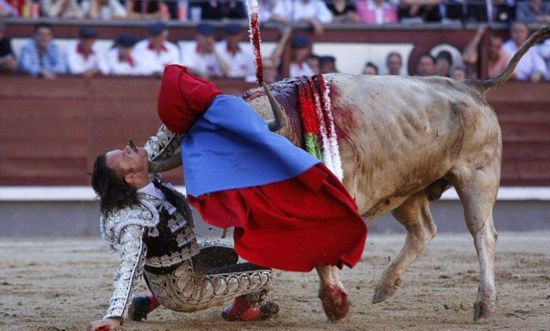 最血腥比賽,最血腥比賽,揭秘殘酷競技世界的真實面貌