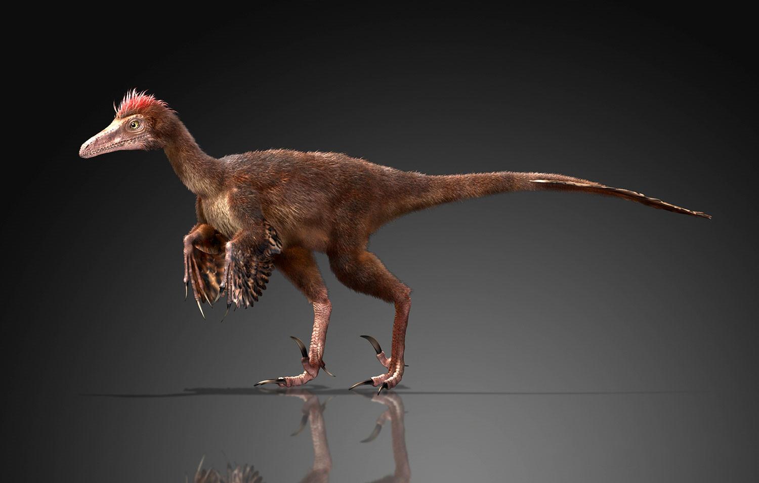 最新恐龍模擬,穿越時空重返侏羅紀的驚險之旅!