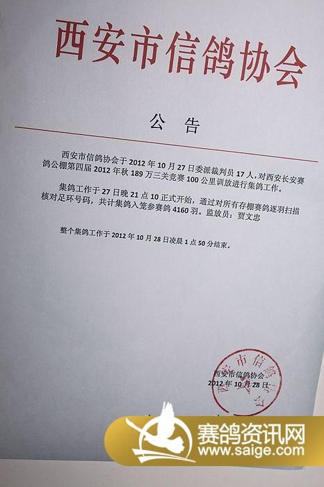 章丘信鴿協(xié)會(huì)最新公告,飛翔的溫情,友情的紐帶