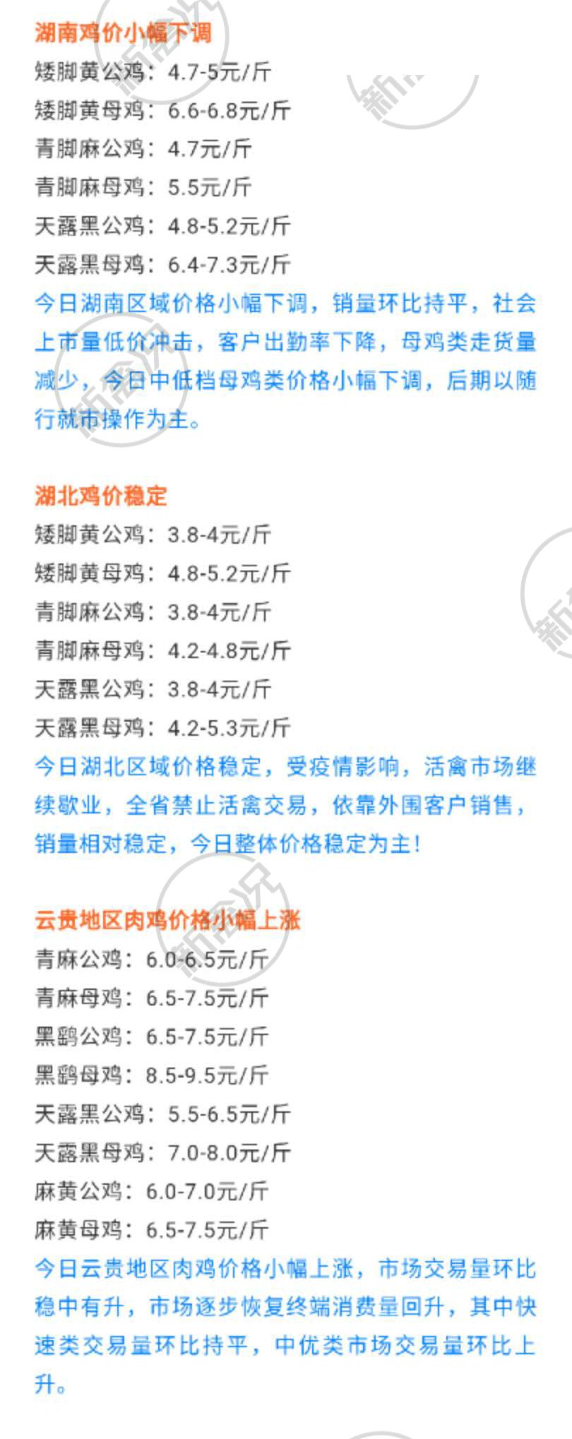 最新雞肉批發價,最新雞肉批發價,逆風翱翔,成就雞肉批發界的勵志傳奇