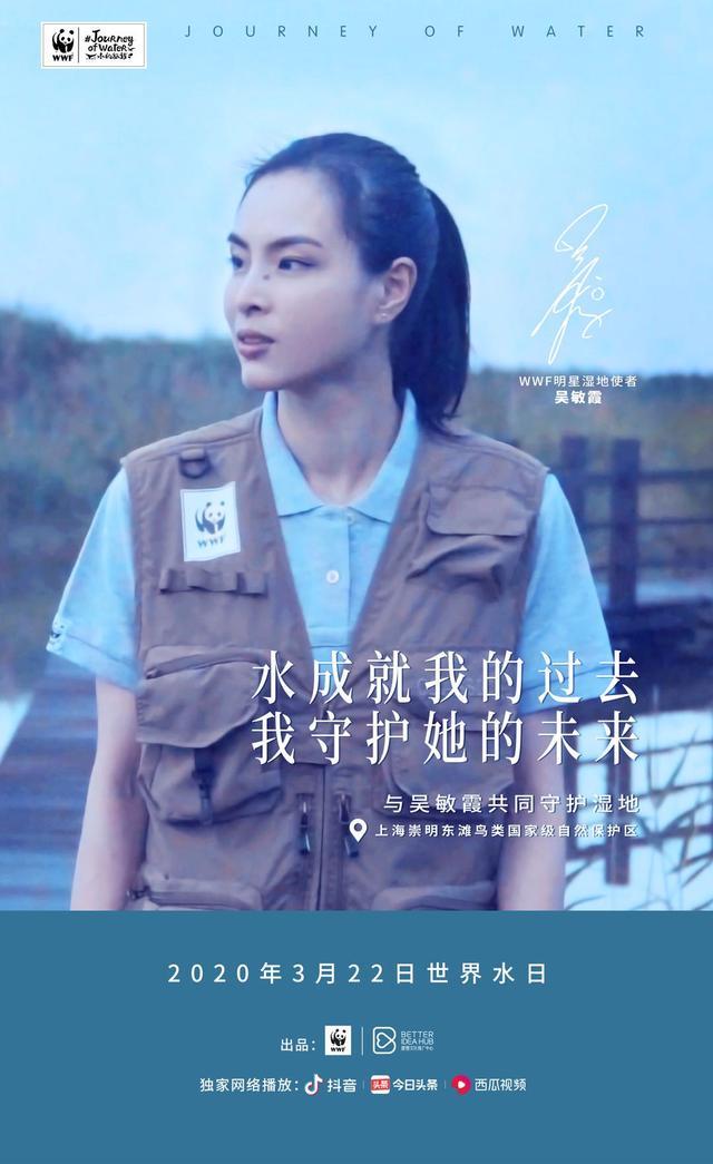 紀(jì)錄片明星,引領(lǐng)高科技產(chǎn)品的璀璨新星風(fēng)采