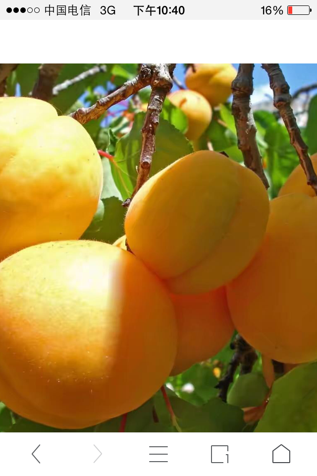 杏8最新官網,杏8最新官網,探索自然美景的旅行,尋找內心的平和之地