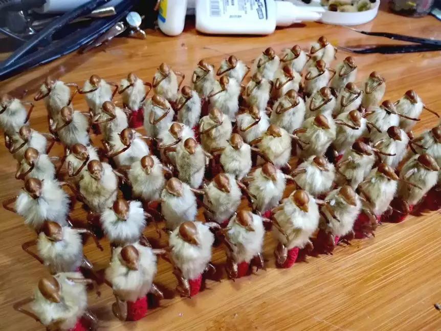 蟬蛻近期價格,蛻變價值與勵志力量的展現(xiàn)