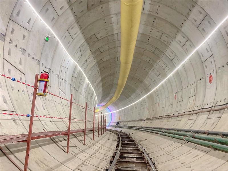 2024新澳門今天晚上開什么生肖,最新正品?全面性_校園版21.424