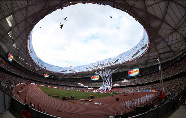 鳥(niǎo)巢比賽,小巷深處的獨(dú)特風(fēng)情展現(xiàn)