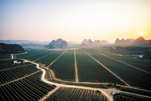 武鳴區最新資訊與學習變化,勵志之旅啟航,自信成就未來