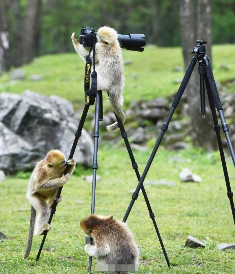 西可愛新動態,時尚潮流與創意生活的無縫銜接