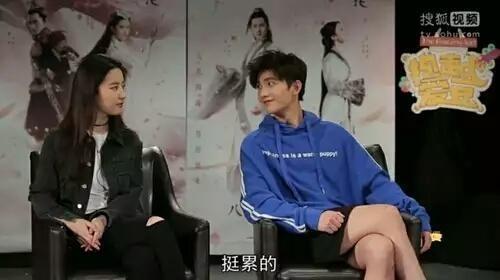 逗比羊最新動態揭秘!