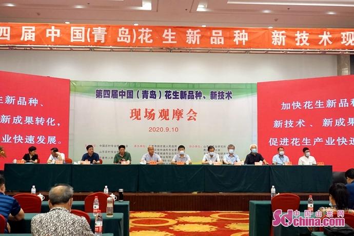 山東平度花生最新行情,山東平度花生最新行情