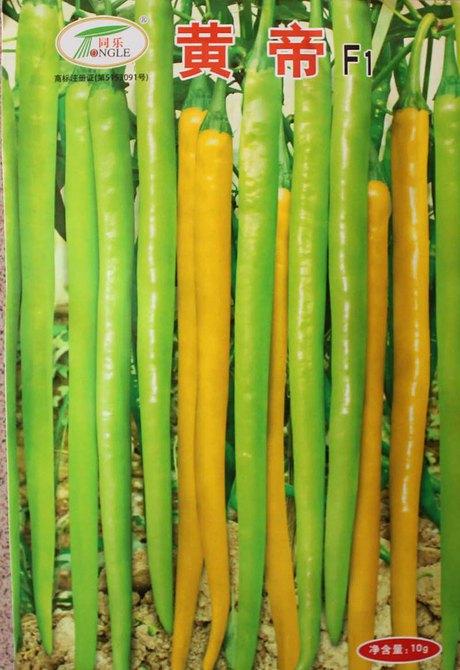 線椒批發(fā)行情深度分析,市場(chǎng)走勢(shì)、趨勢(shì)預(yù)測(cè)與策略建議